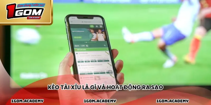 Kèo tài xỉu là gì và hoạt động ra sao